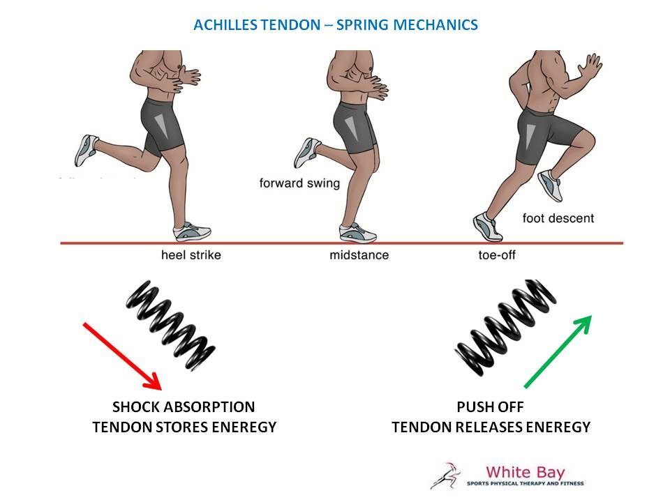 A Importância da mobilidade do pé e do tornozelo para previnir dores nos joelhos e lombalgia